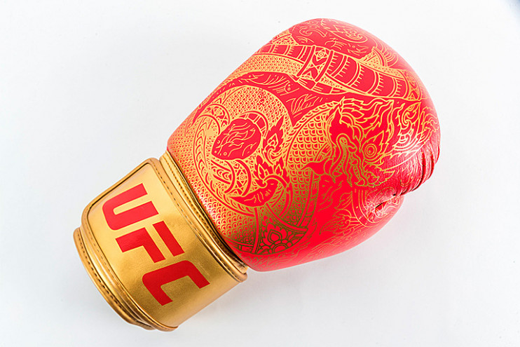 Перчатки для бокса UFC PRO Thai Naga 12 Oz - красные