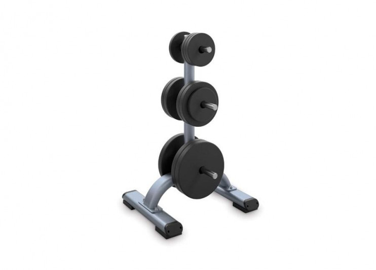 Стойка под диски PRECOR 817