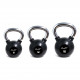 Aerofit AFBK Гири обрезиненные с хромированной рукояткой - 20 кг