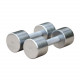 Хромированные гантели FOREMAN FM\HCD-10KG